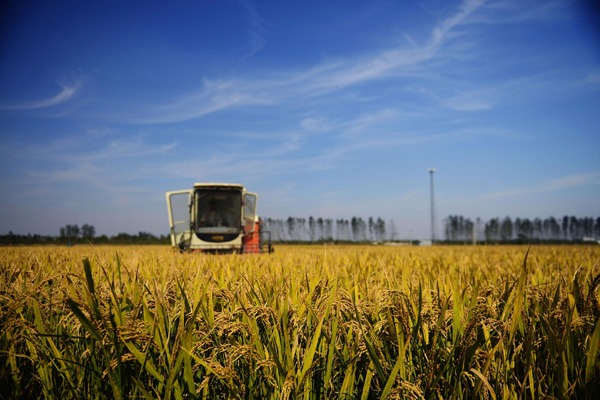 Arable Land Arable Land