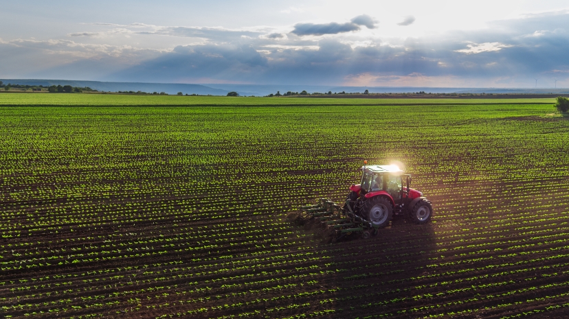 Arable Land
